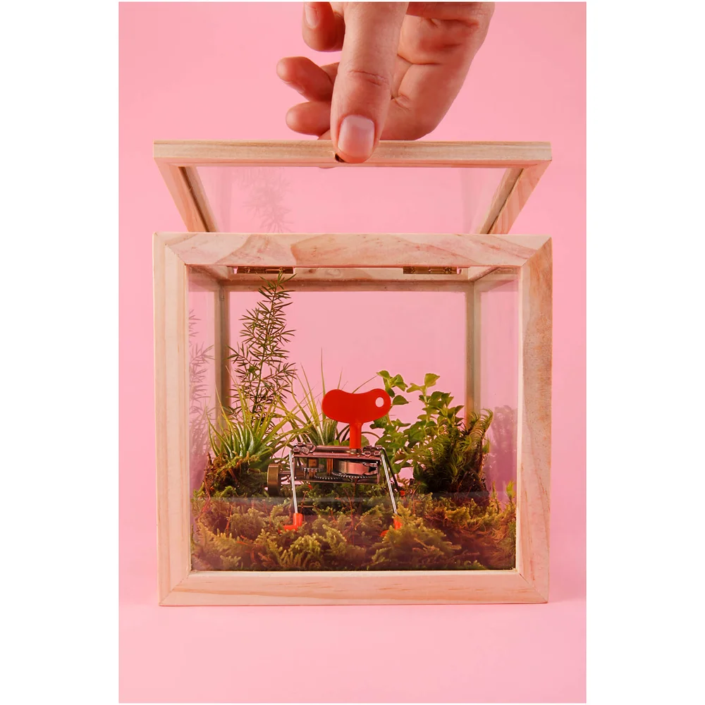 Boîte de Rangement Carré - Verre Image 1