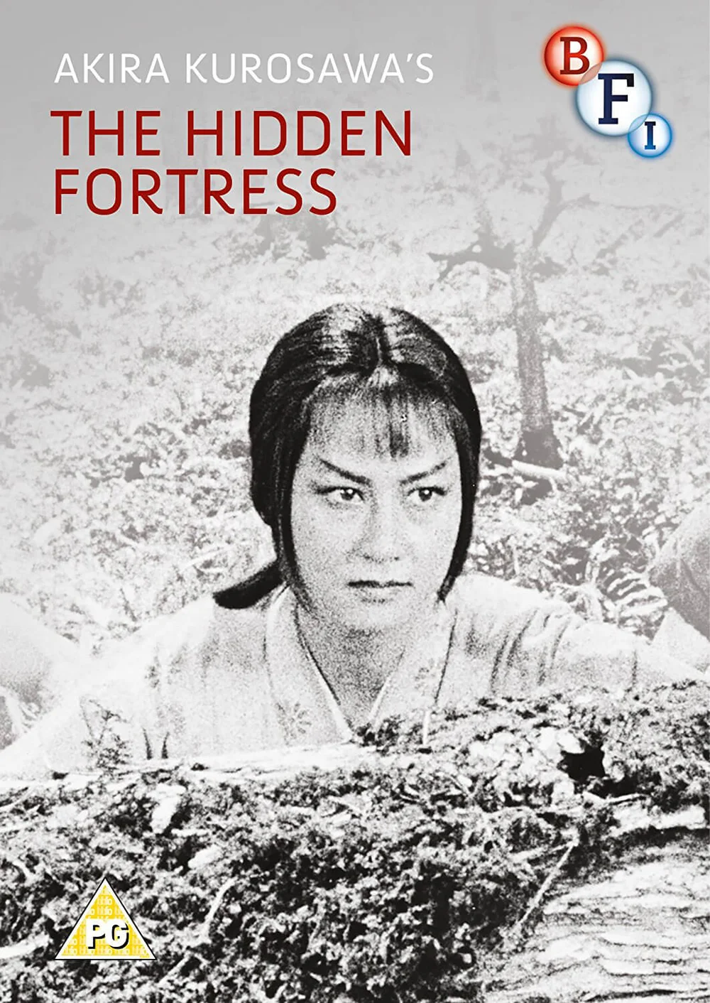 The Hidden Fortress Image 1