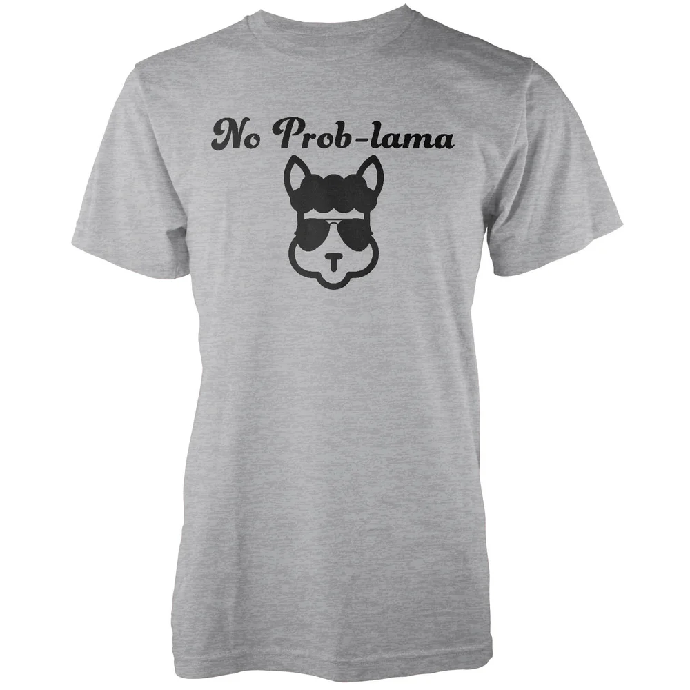 T-Shirt Homme/Femme No Prob-Lama - Gris - S Image 1