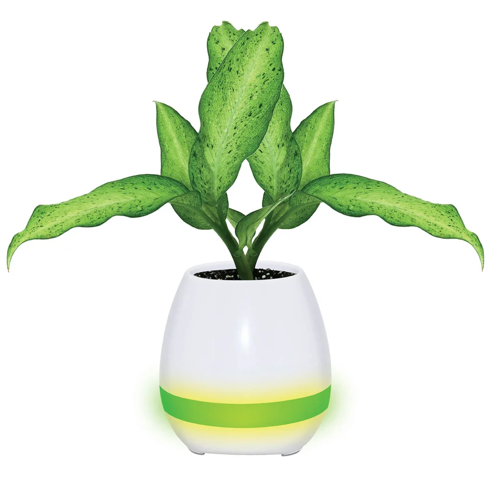 Enceinte Bluetooth Pot Piano Mayhem - Bleu Image 1