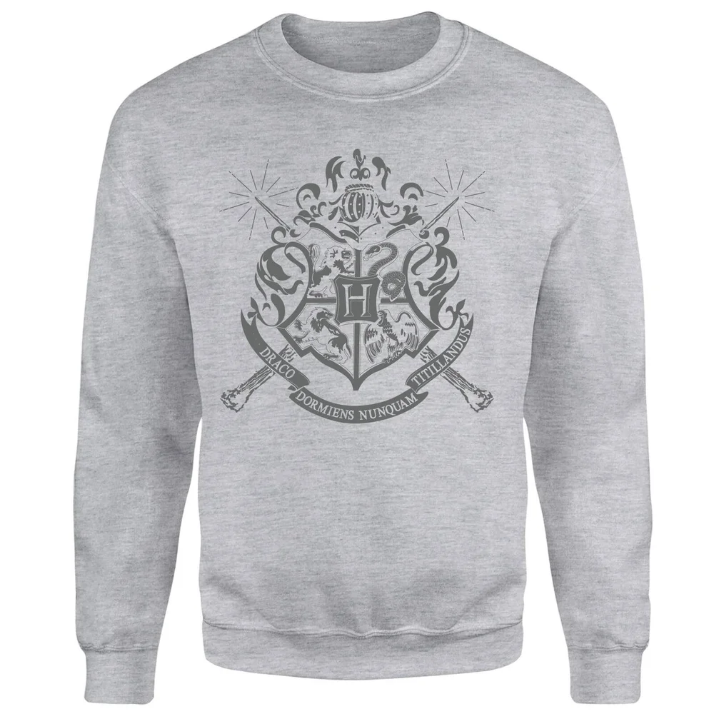Sweat Homme Draco Dormiens Nunquam Titillandus - Harry Potter - Gris - S Image 1