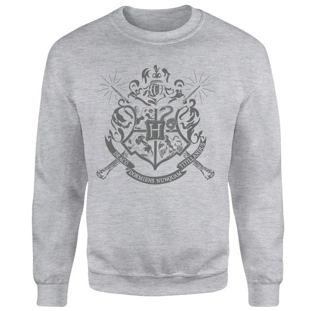 Sweat Homme Draco Dormiens Nunquam Titillandus - Harry Potter - Gris