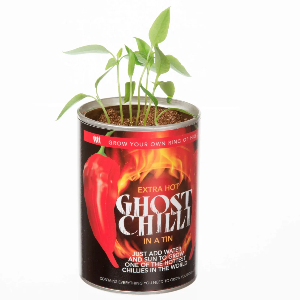 DIY : Faites Pousser Votre Propre Piment - Ghost Chili Image 1