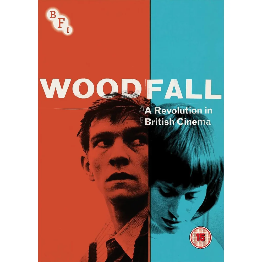 Woodfall: A Revolution in British Cinema Image 1