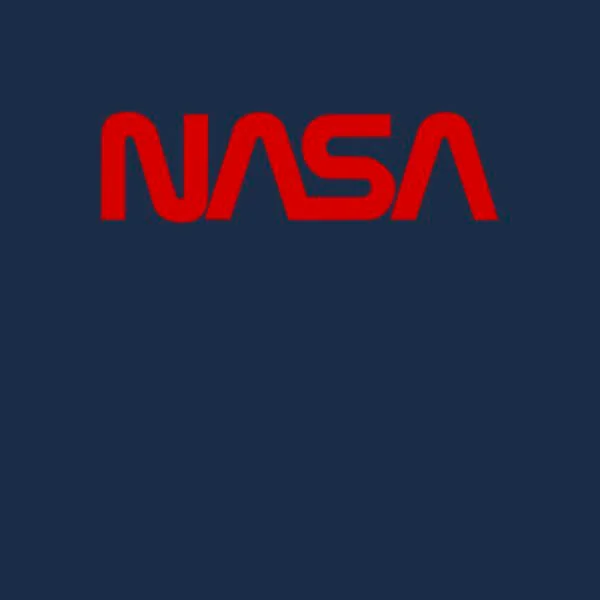 T-Shirt Femme NASA Worm Logotype - Bleu Marine