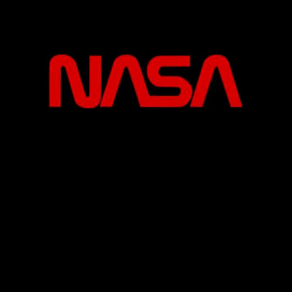 Sweat Homme Logo Worm NASA - Noir