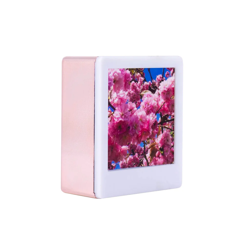 Lightbox Cadre Mini Photo - Rose Gold Image 1