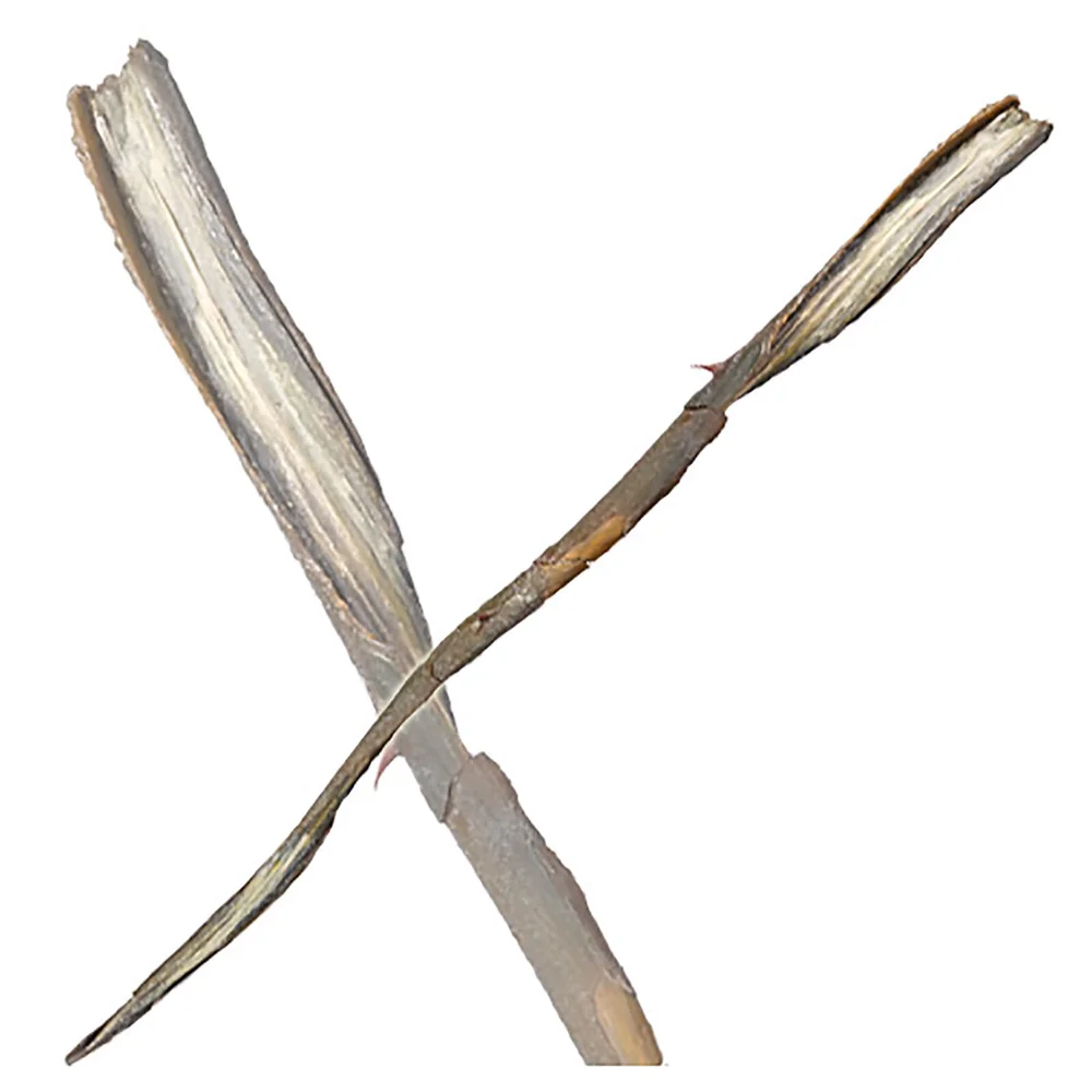 Baguette de Gellert Grindelwald de Harry Potter Image 1