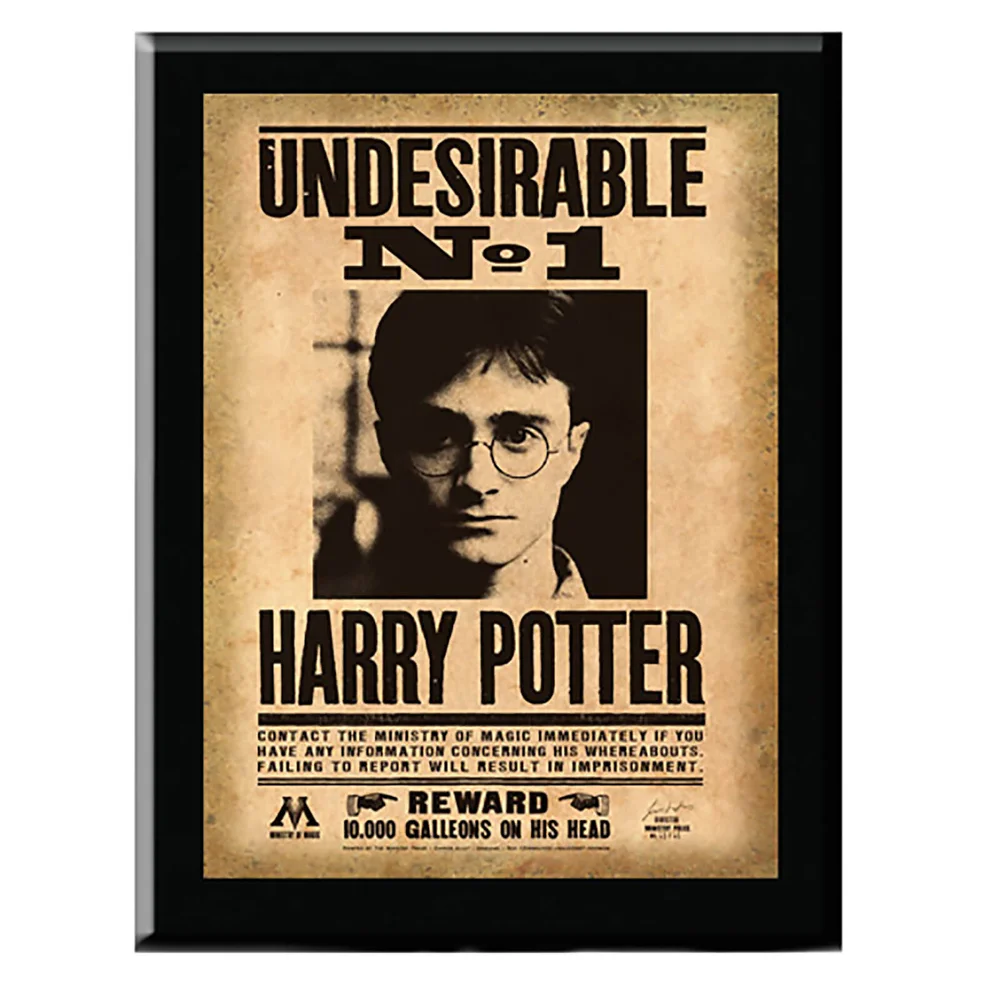 Plaque Indésirable No. 1 - Harry Potter Image 1