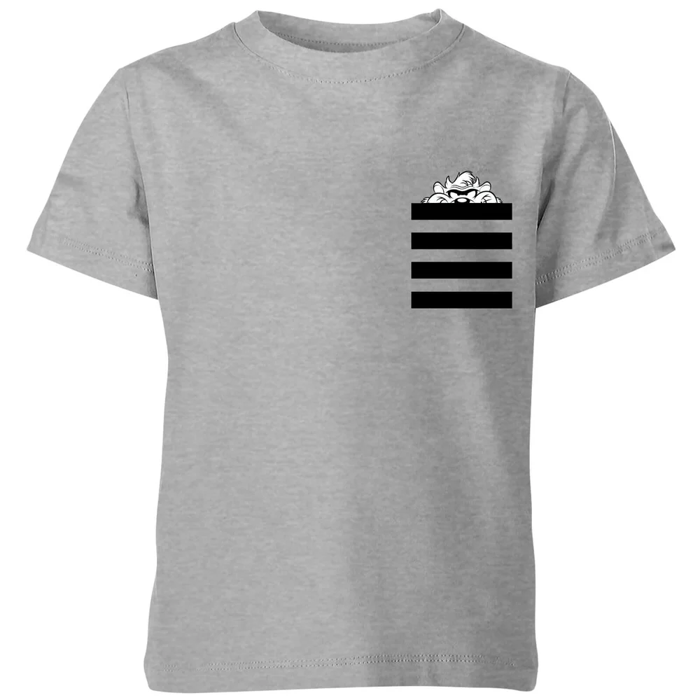 T-Shirt Enfant Taz Poche à Rayures Looney Tunes - Gris - 3-4 ans Image 1