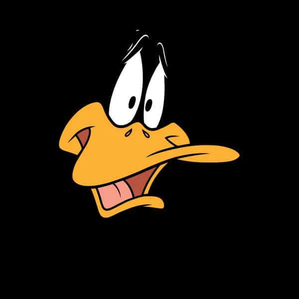 Sweat Homme Gros Plan Daffy Duck Looney Tunes - Noir