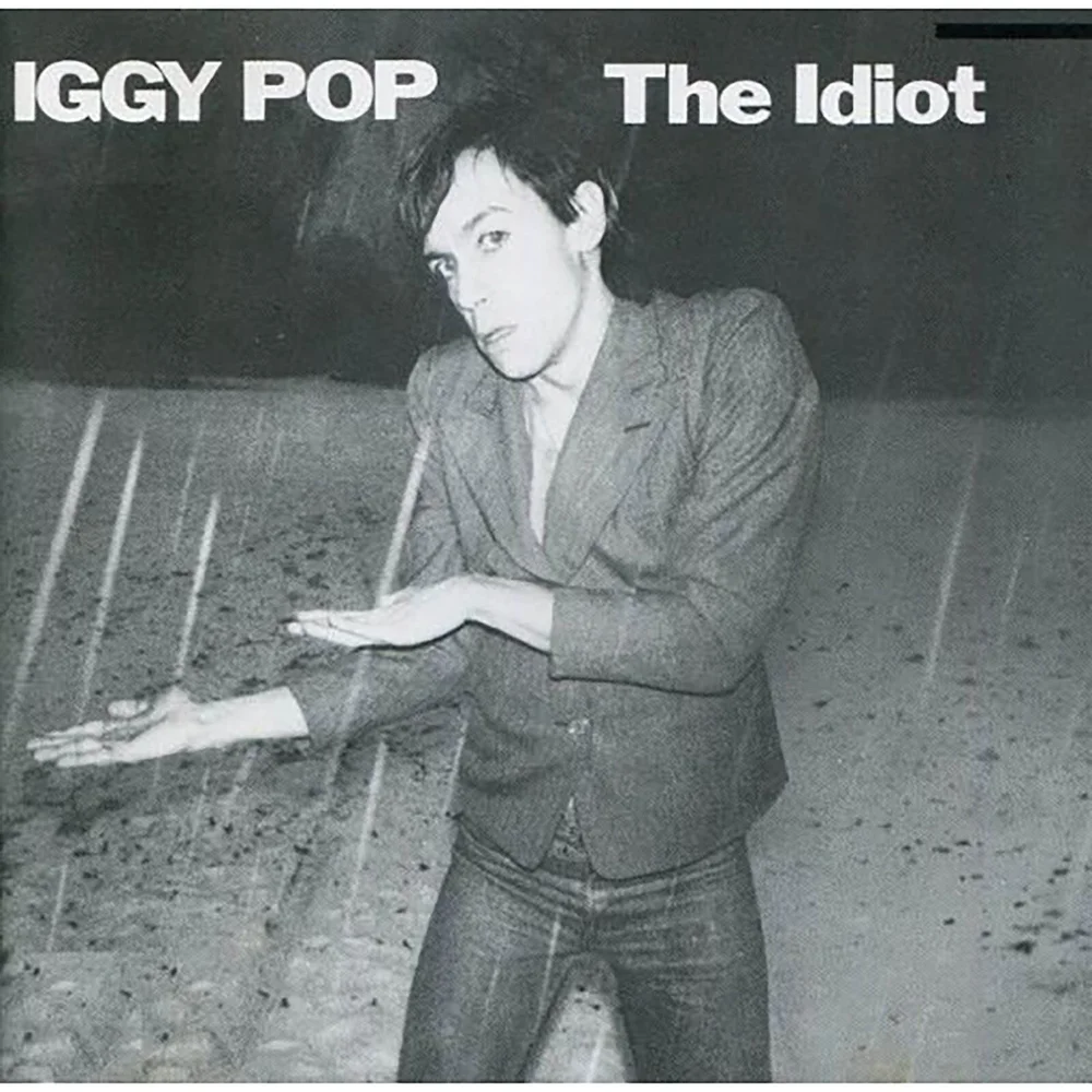 Iggy Pop - The Idiot 30 cm LP Image 1