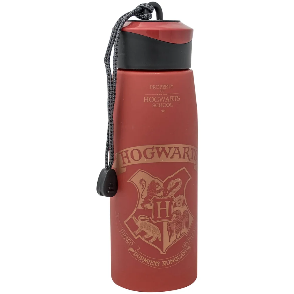 Gourde Harry Potter – 550 ml Image 1