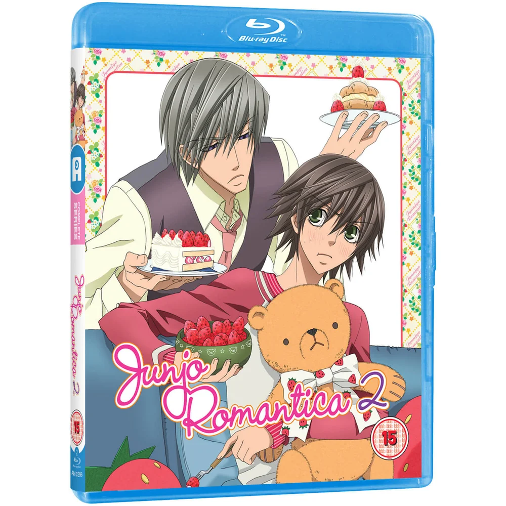 Junjo Romantica - Saison 2 Image 1