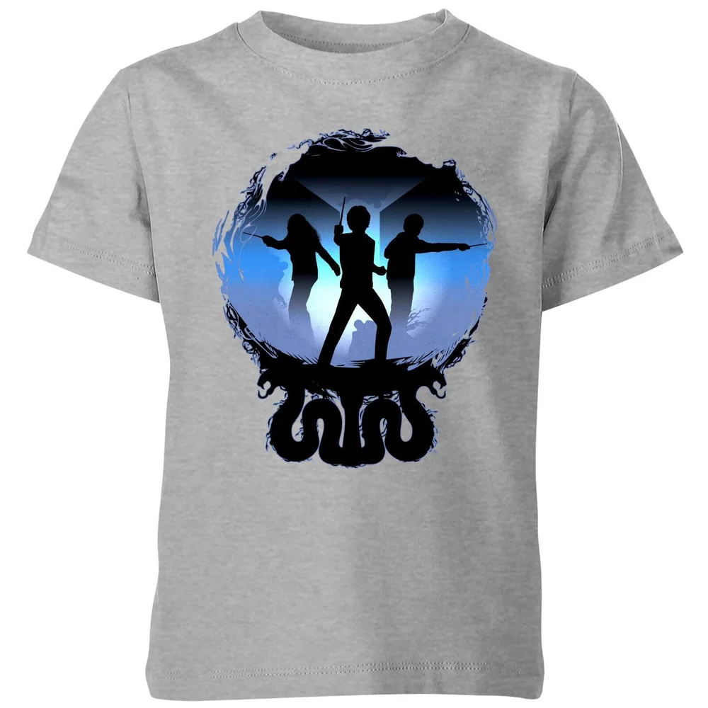T-Shirt Enfant Silhouette de Bataille - Harry Potter - Gris - 3-4 ans Image 1
