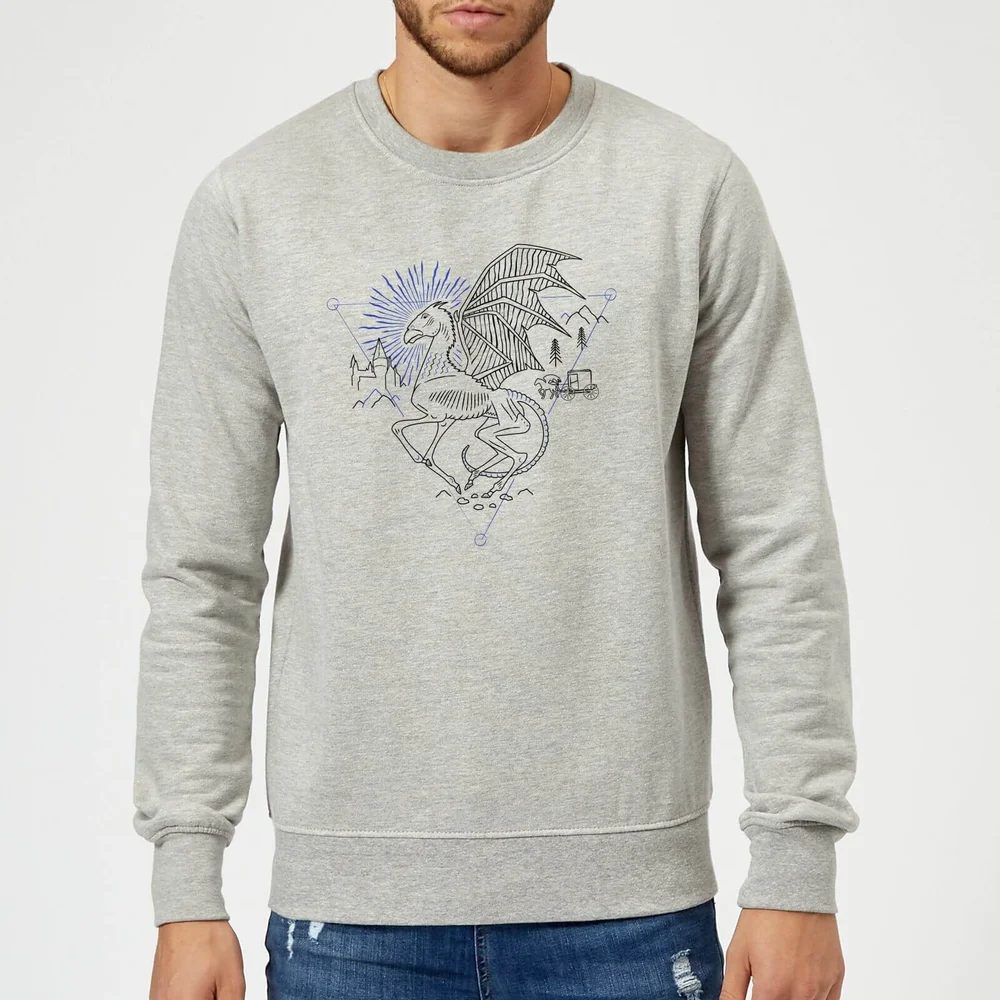 Sweat Homme Dessin au Trait Sombral - Harry Potter - Gris - S - Gris Image 1