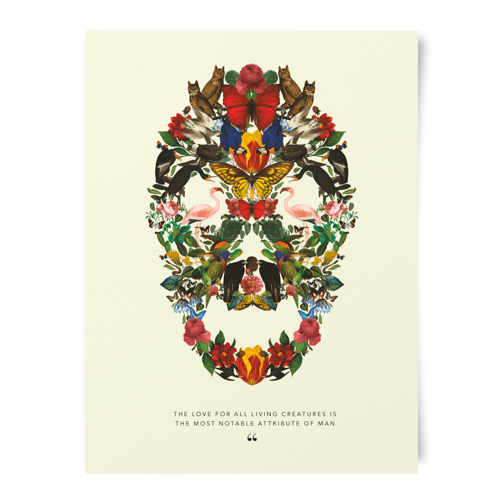 Affiche Tête de Fleurs - Musée d'Histoire Naturel Image 1
