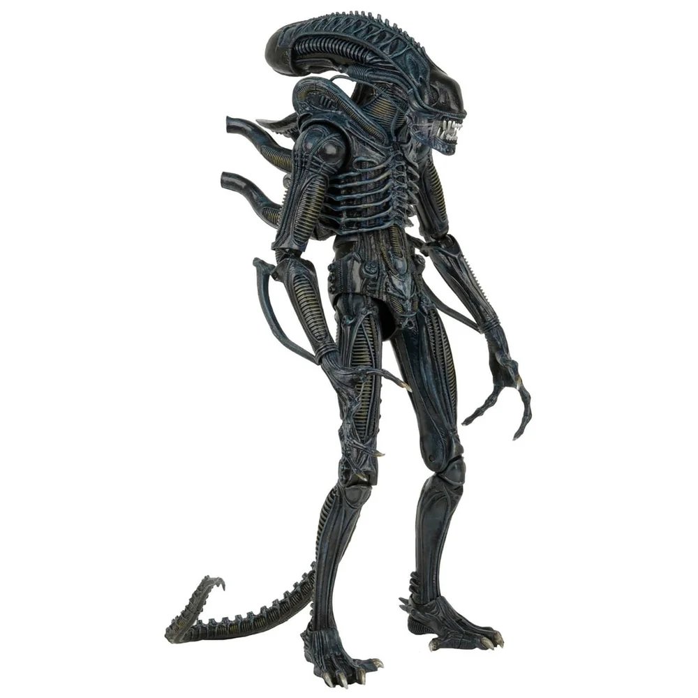 Figurine Warrior 1986 NECA Aliens Échelle 1/4 Image 1