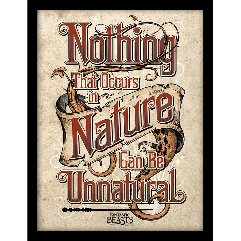 Fantastic Beasts (Nature) Framed 30 x 40cm Print Image 1