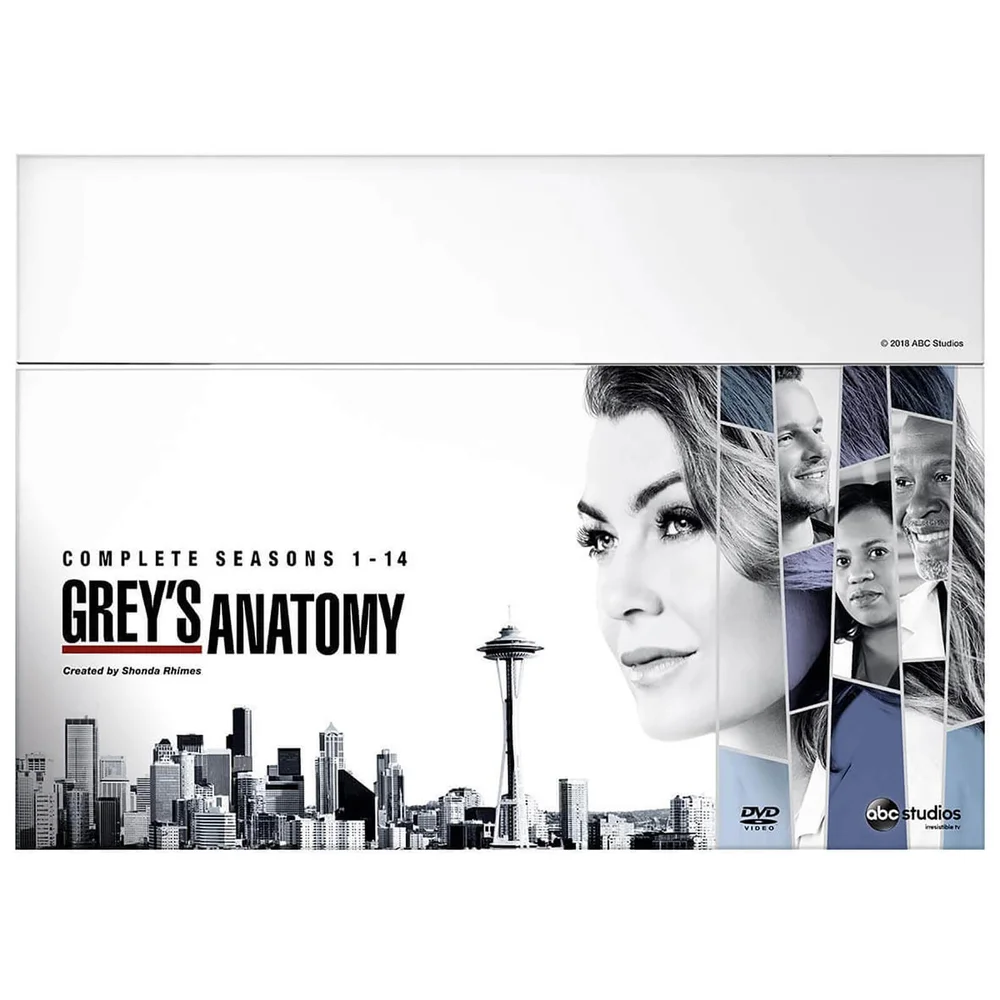 Grey's Anatomy Coffret S1-14 Image 1
