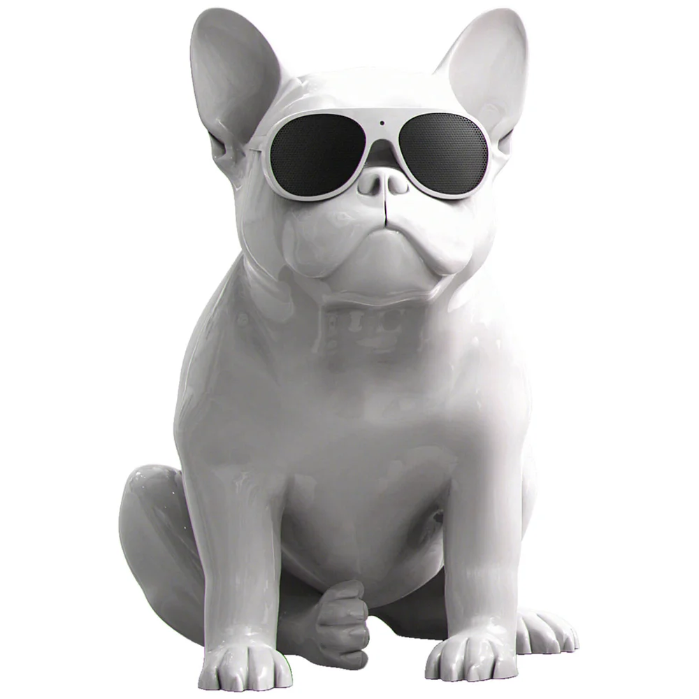 Jarre AeroBull HD1 Haut Parleur Sans Fil - Blanc Image 1