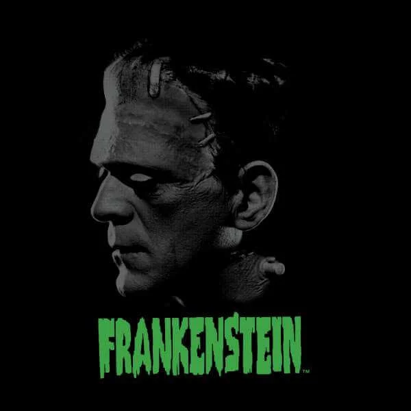 Sweat Homme Frankenstein (Tons Gris) - Universal Monsters - Noir
