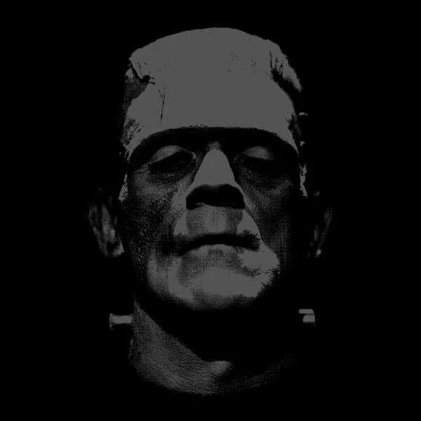 Sweat Homme Frankenstein (Noir et Blanc) - Universal Monsters - Noir