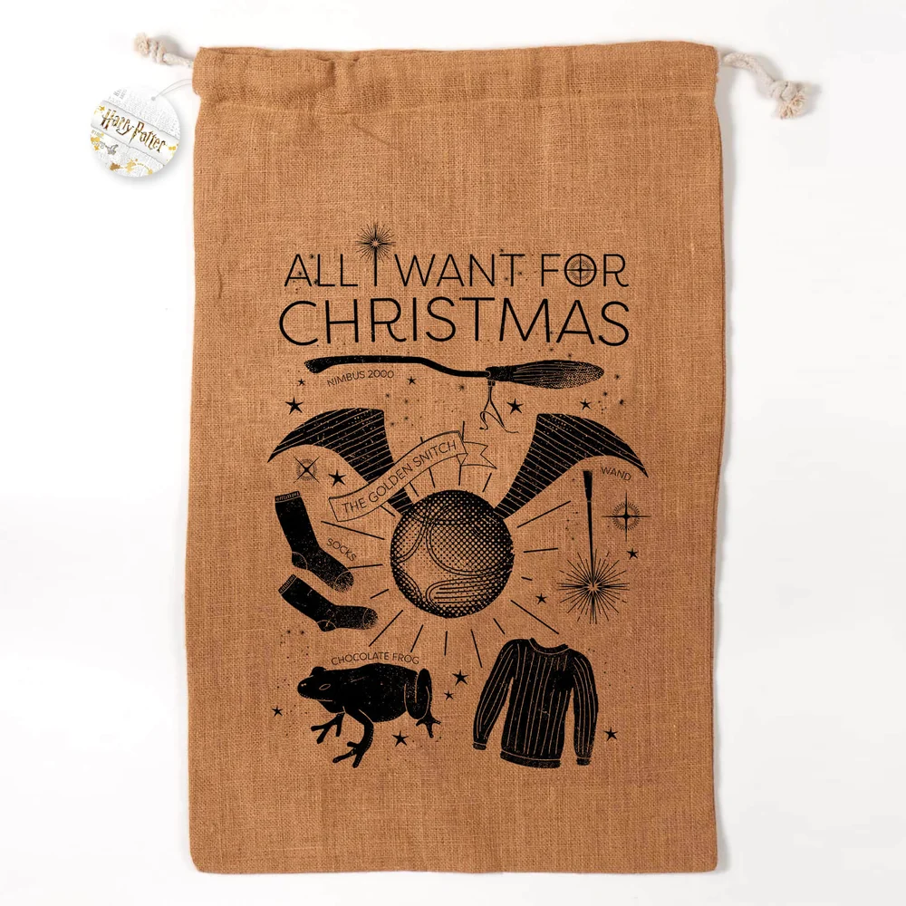 Harry Potter Officially Licensed All I Want for Christmas Christmas Sack Image 1