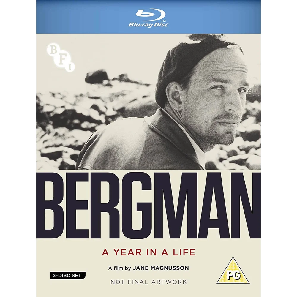 Bergman : Une année dans une vie Image 1