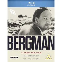 Bergman : Une année dans une vie - undefined undefined