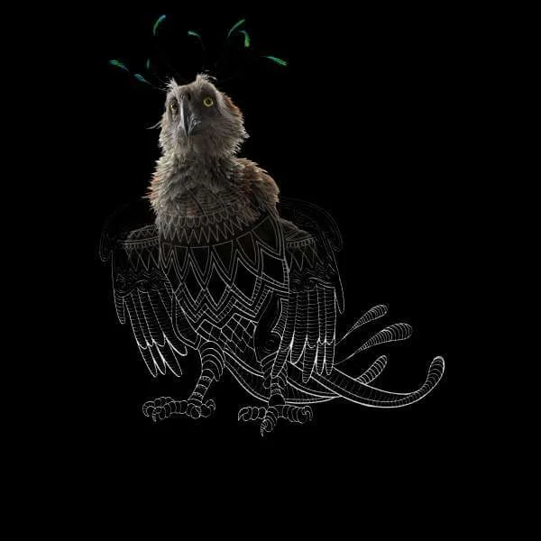 Fantastic Beasts Tribal Augurey Hoodie - Black