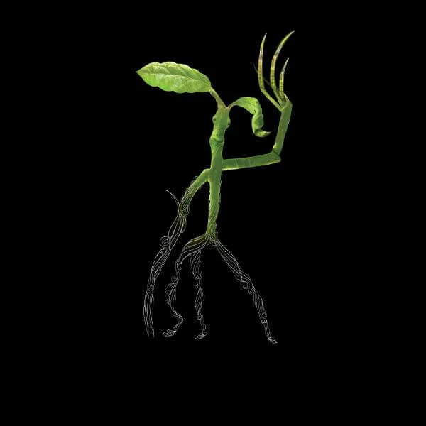 Fantastic Beasts Tribal Bowtruckle Women's T-Shirt - Black