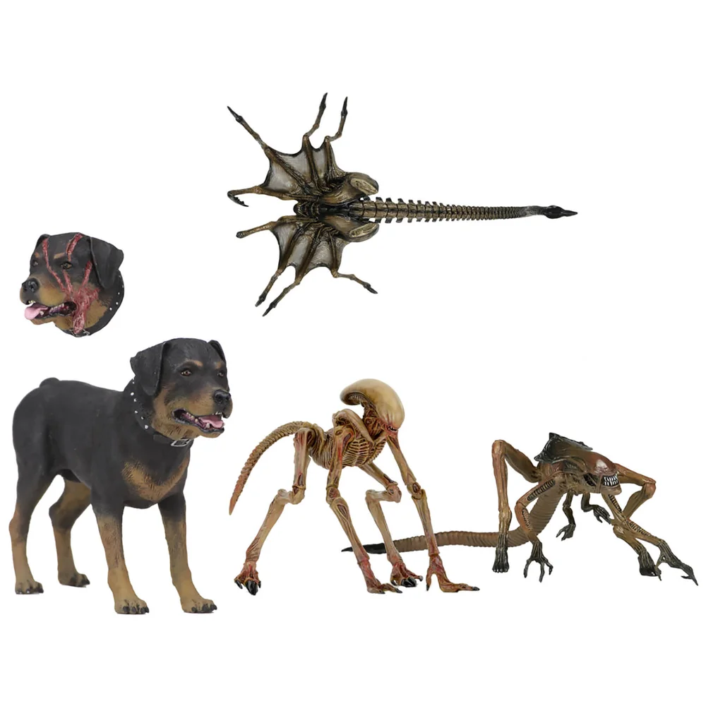 Pack accessoires et Pack créature, Alien 3 – NECA Image 1