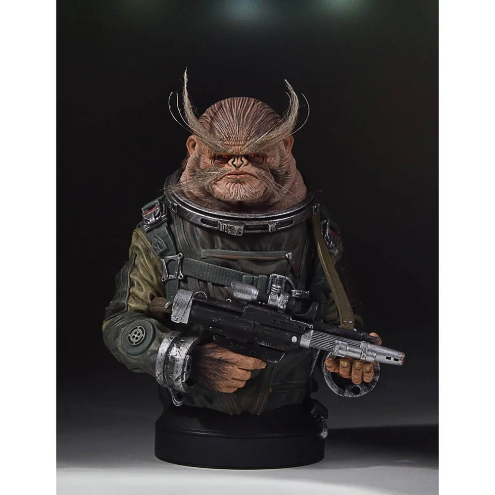Mini Buste 1/6 - 22 cm Gentil Géant Rogue One : A Star Wars Story - A Star Wars Story Bistan Image 1