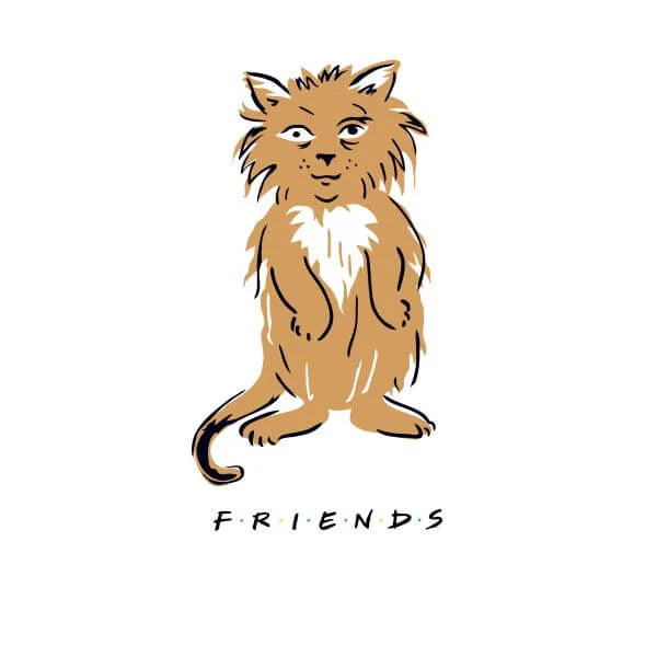 Friends Smelly Cat Women's T-Shirt - White