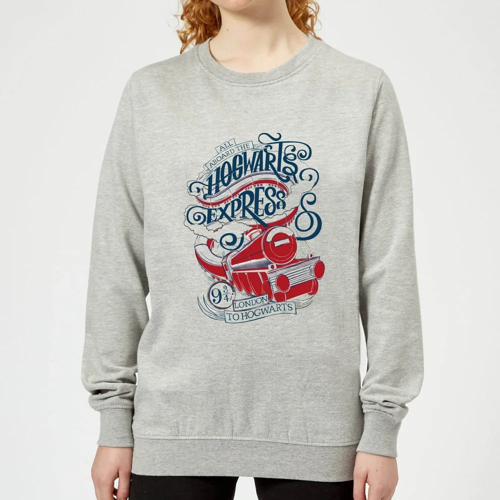 Harry Potter Hogwarts Express Women's Sweatshirt - Grey - 3XL Image 1