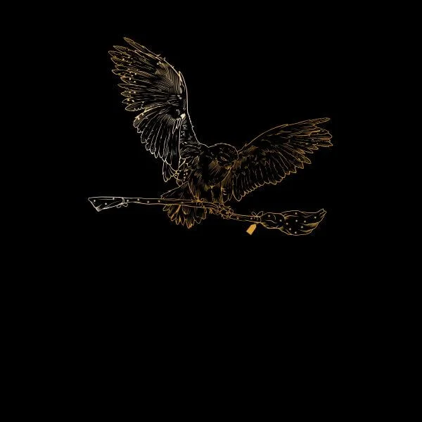 Harry Potter Hedwig Broom Gold Women's T-Shirt - Black