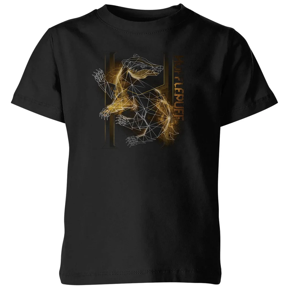 Harry Potter Hufflepuff Geometric Kids' T-Shirt - Black - 3-4 ans Image 1