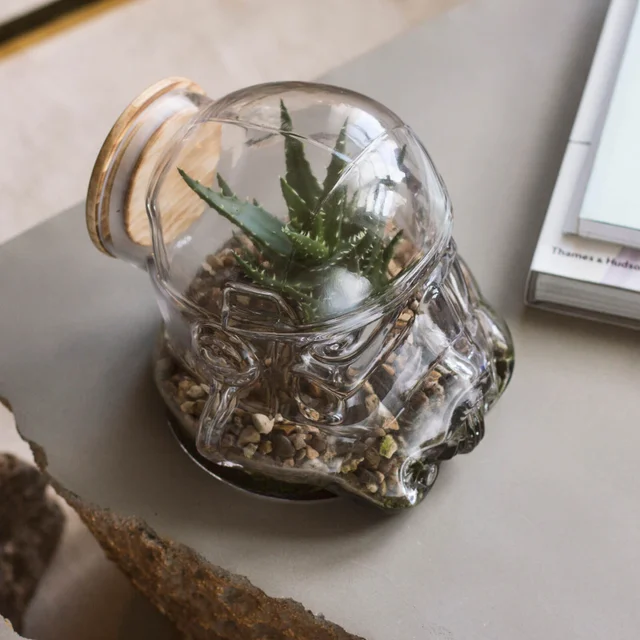 Terrarium Original Stormtrooper de Star Wars