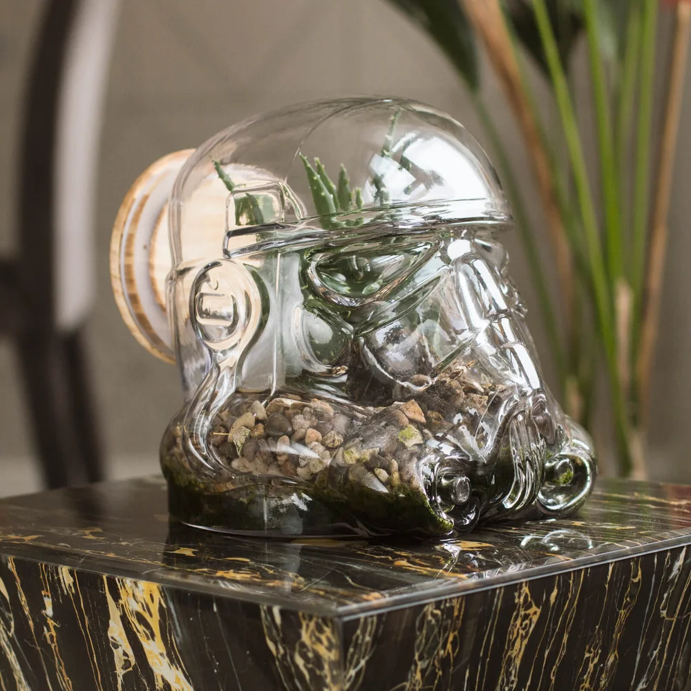 Terrarium Original Stormtrooper de Star Wars Image 1