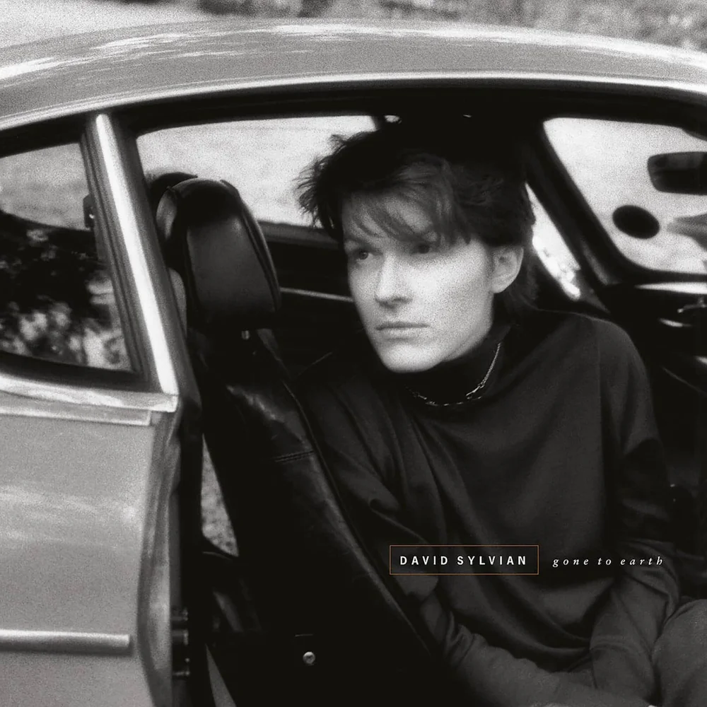 David Sylvian - Gone To Earth 2xLP Image 1