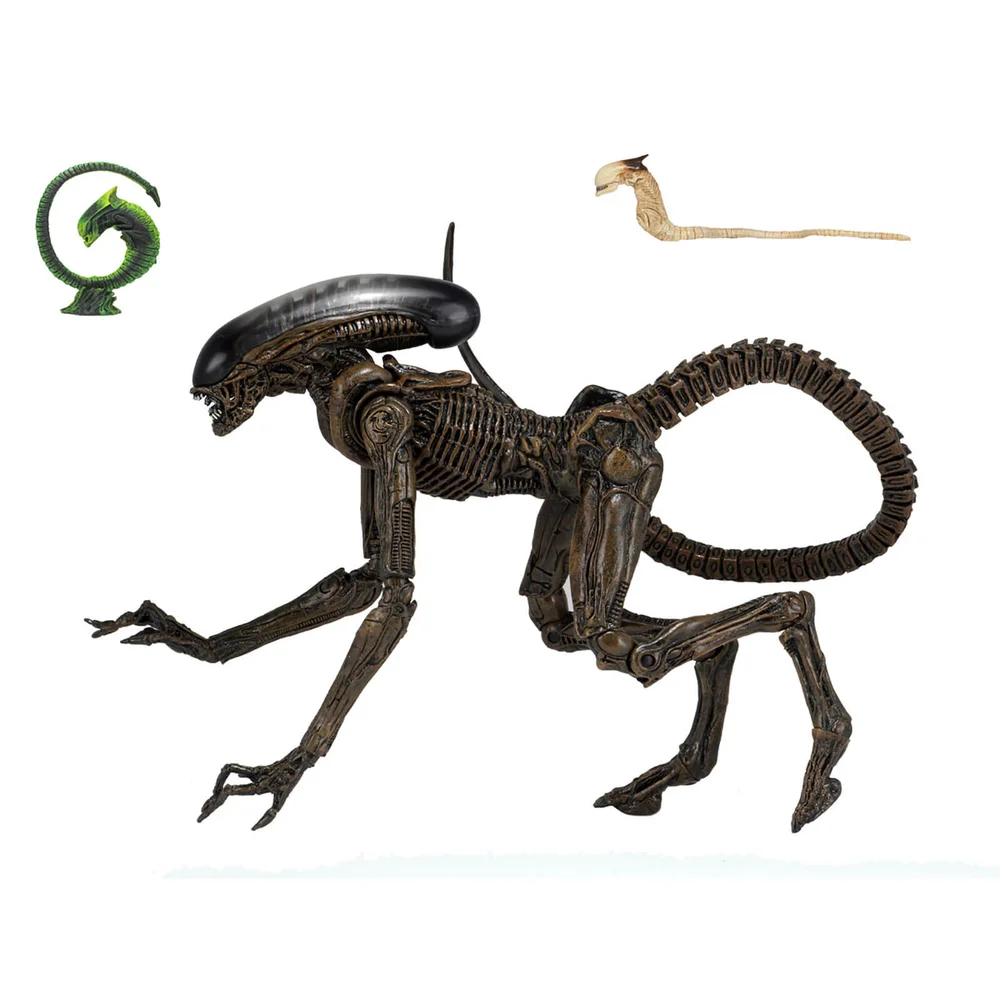 Neca Alien 3 - 18 cm Figurine Action Ultimate Dog Alien Image 1