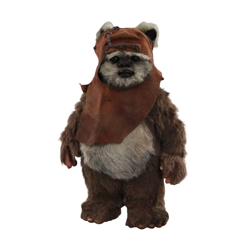 Figurine articulée MM Wicket, Star Wars Episode VI, échelle 1:6 (15 cm) – Hot Toys Image 1