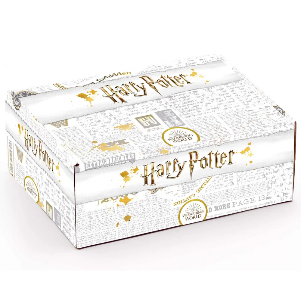 Box Mystère Harry Potter Édition Limitée Image 1
