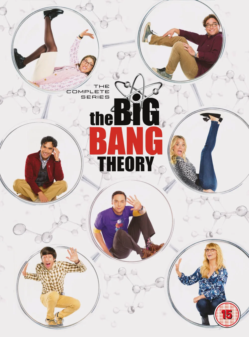 Big Bang Theory Seasons 1-12 Image 1