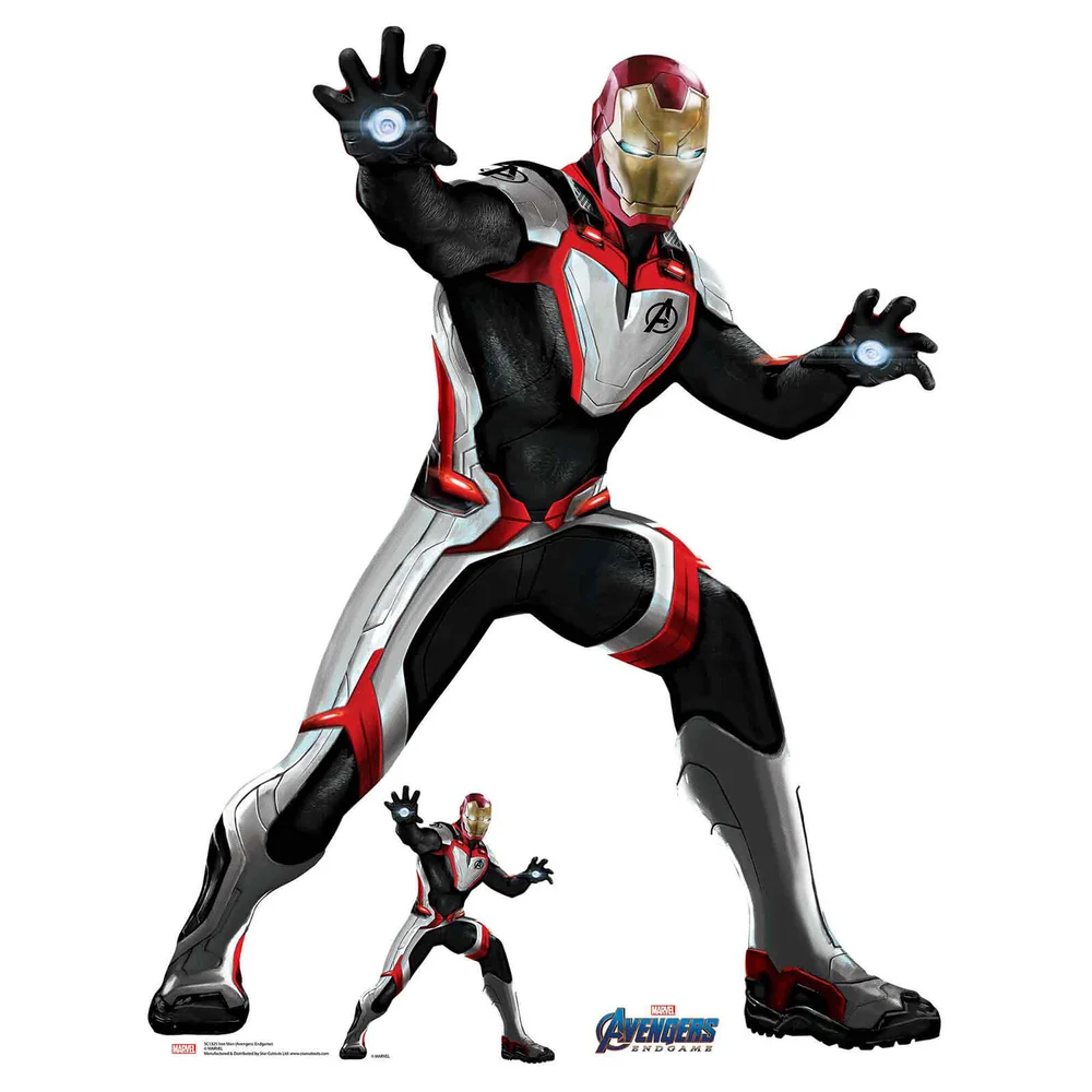 Ant-Man (Costume Quantum) Marvel Avengers Endgame Mini découpe en carton Image 1