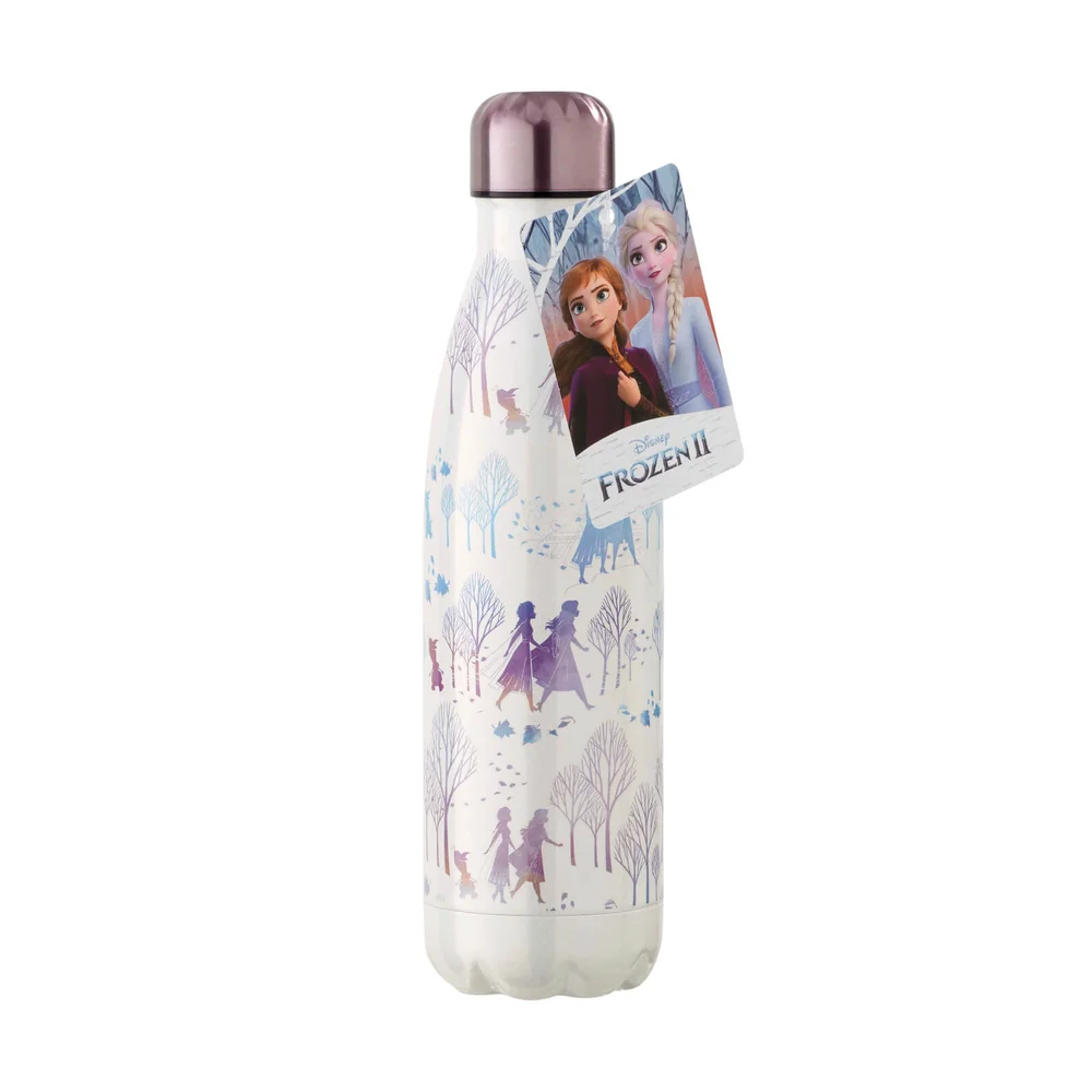Bouteille Métal La Reine Des Neiges 2 - Funko Homeware - Disney La Reine Des Neiges 2 Image 1