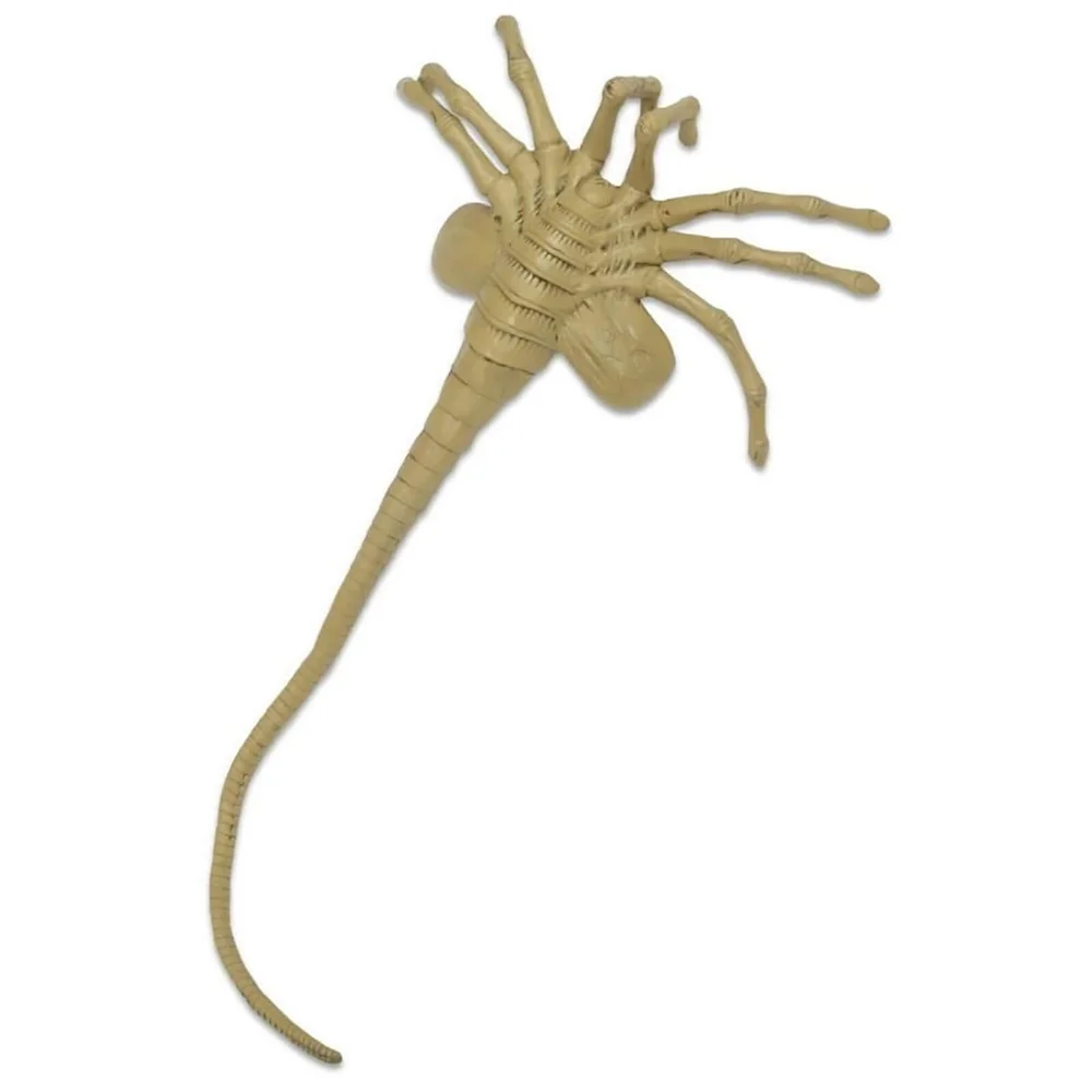 NECA Alien - Réplique d'accessoires en mousse - Facehugger Grandeur Nature Image 1