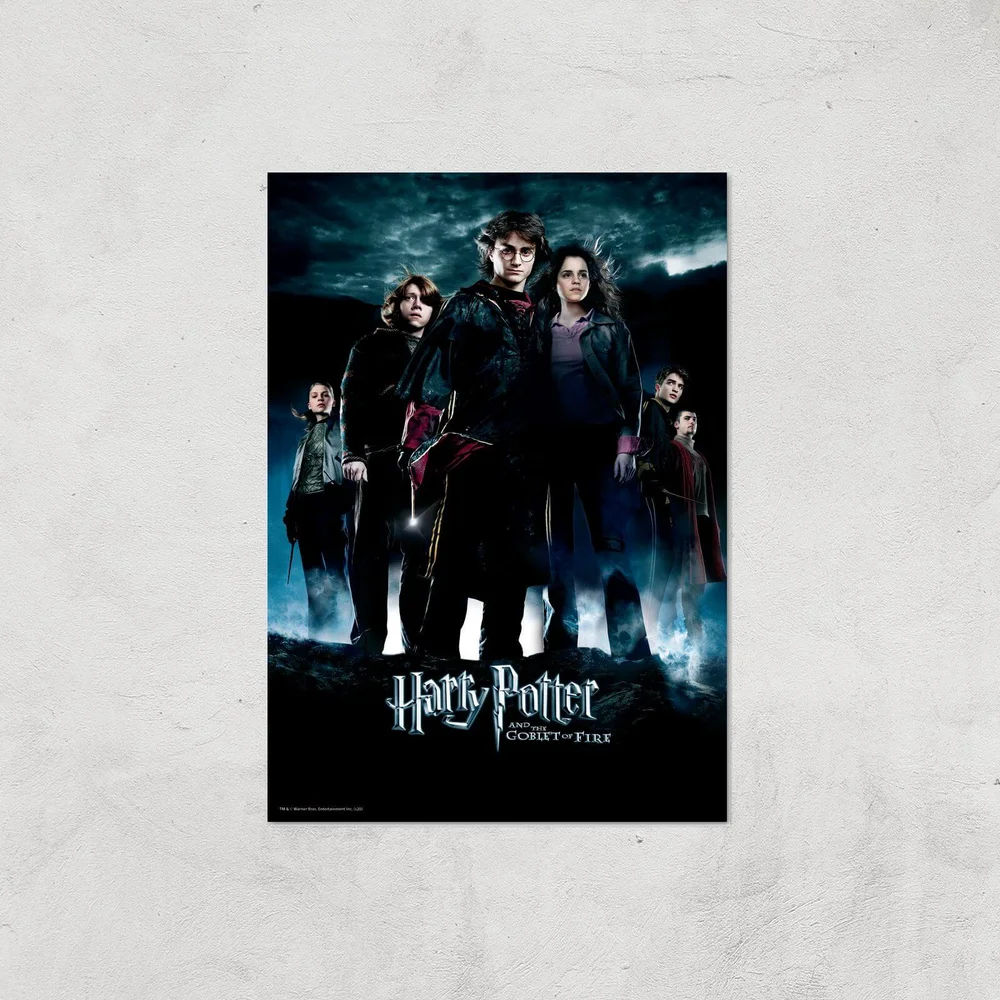 Harry Potter and the Goblet Of Fire Giclee Art Print - A2 - Print Only Image 1
