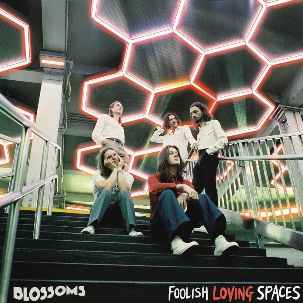 Blossoms - Foolish Loving Spaces LP Image 1